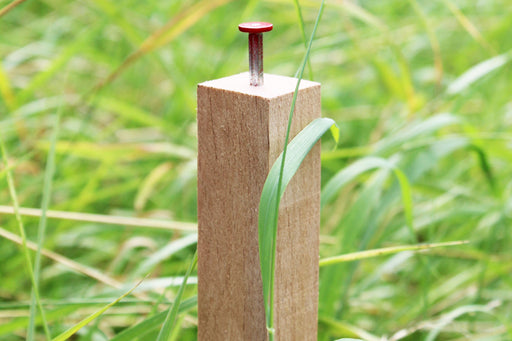 Holzpflock aus Hartholz, bruchfest, feingesägt, 30 x 30 mm, 60 cm ohne Farbe